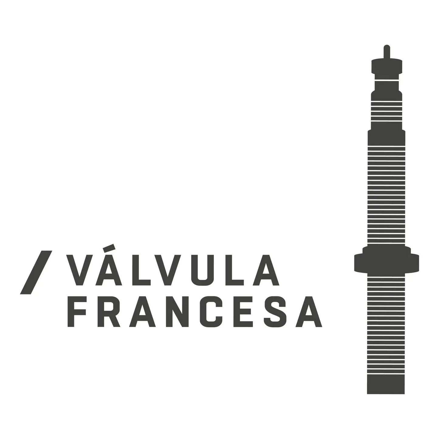 Cámara Best Aro 29 X 1.95/2.125 (v/Francesa)